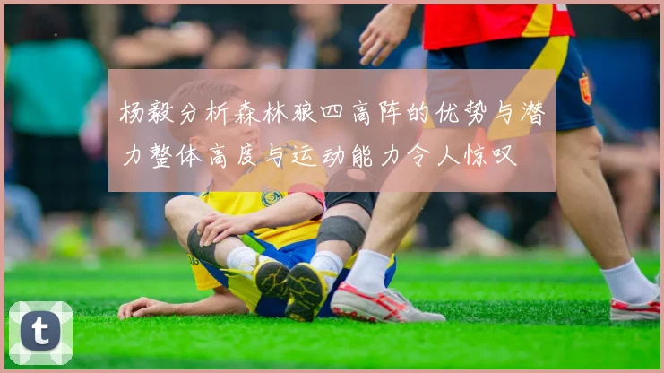 杨毅分析森林狼四高阵的优势与潜力整体高度与运动能力令人惊叹