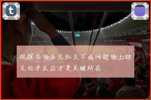 双探花场下无私交不成问题场上缺乏化学反应才是关键所在