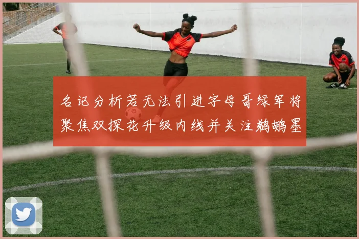 名记分析若无法引进字母哥绿军将聚焦双探花升级内线并关注鹈鹕墨菲